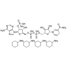 CAS 100929-71-3 : NADPH Cy4N CAS 100929-71-3 : NADPH Cy4N