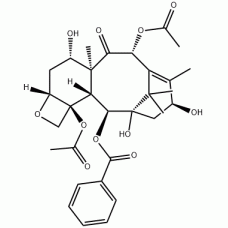 Sole GMP Baccatine III& Impurity supplier